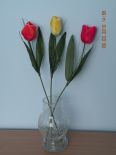 W00140 Tulipan